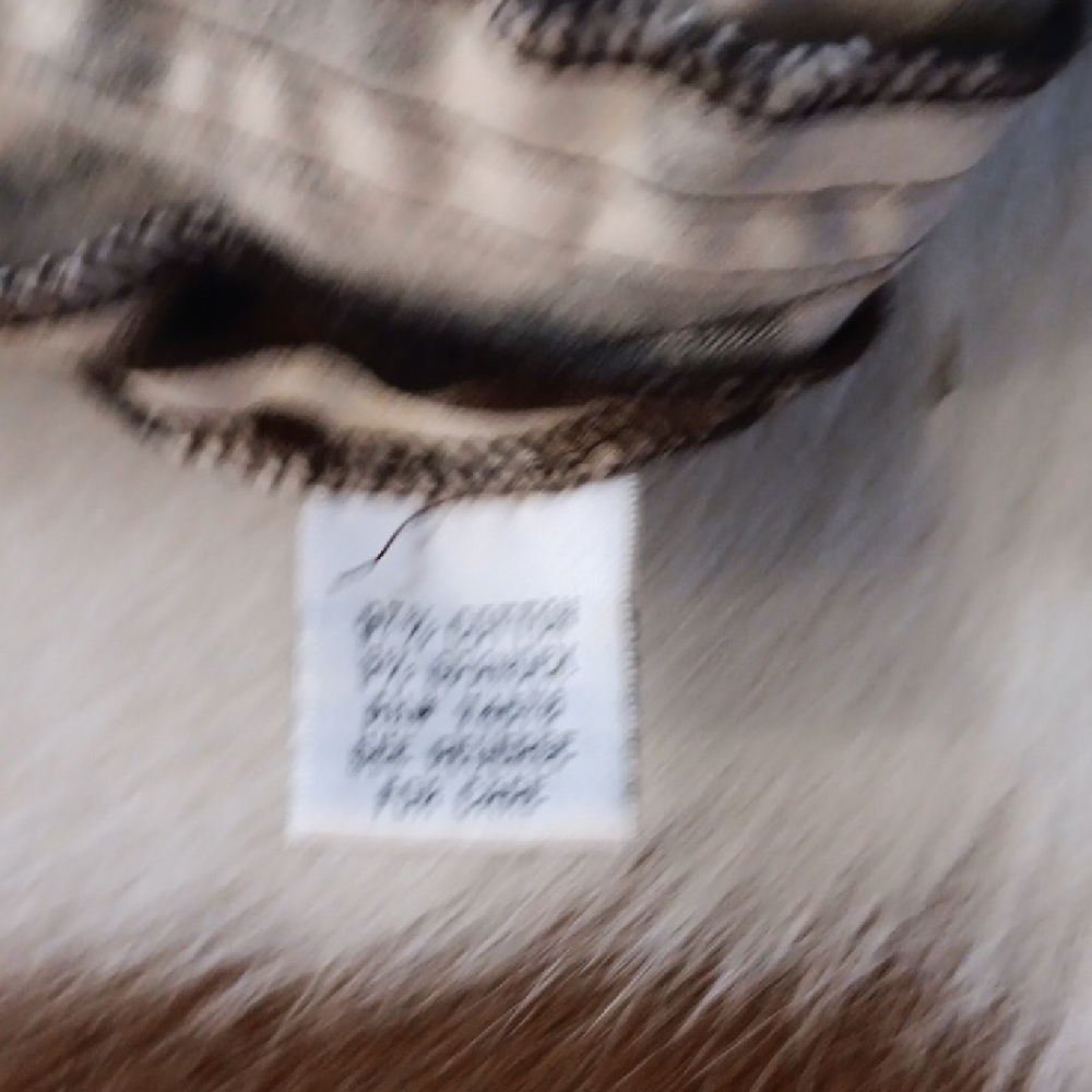 Leopard Print Cache Women's Shorts - image 6